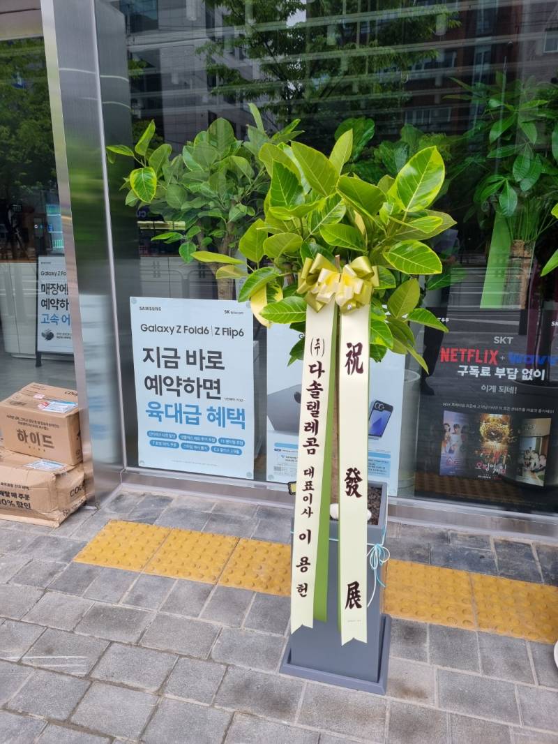 업로드 이미지