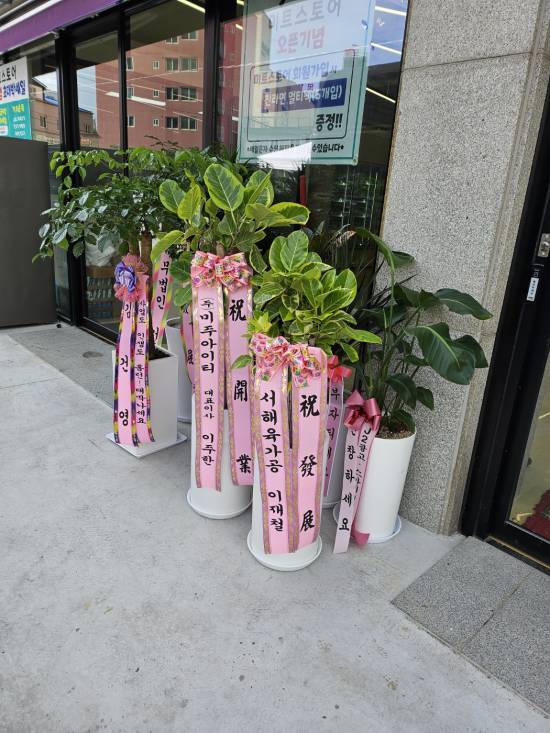 업로드 이미지