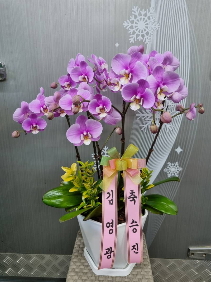 업로드 이미지