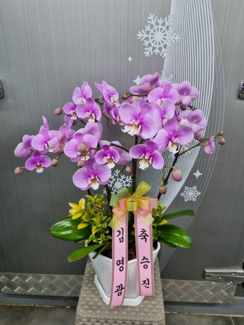 업로드 이미지