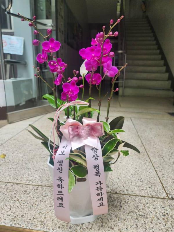 업로드 이미지
