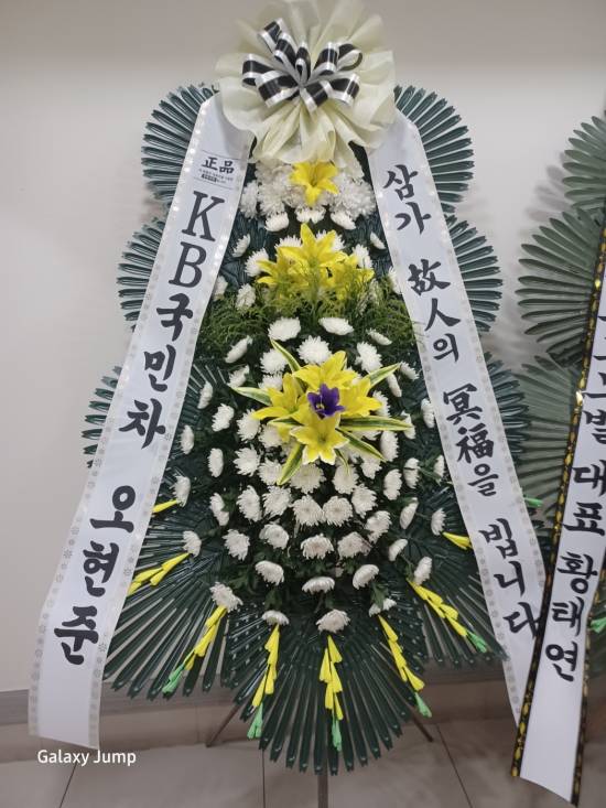 업로드 이미지