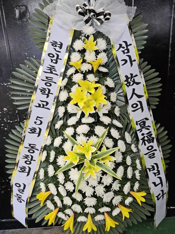 업로드 이미지