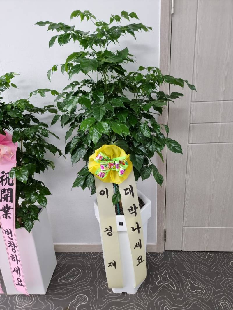 업로드 이미지