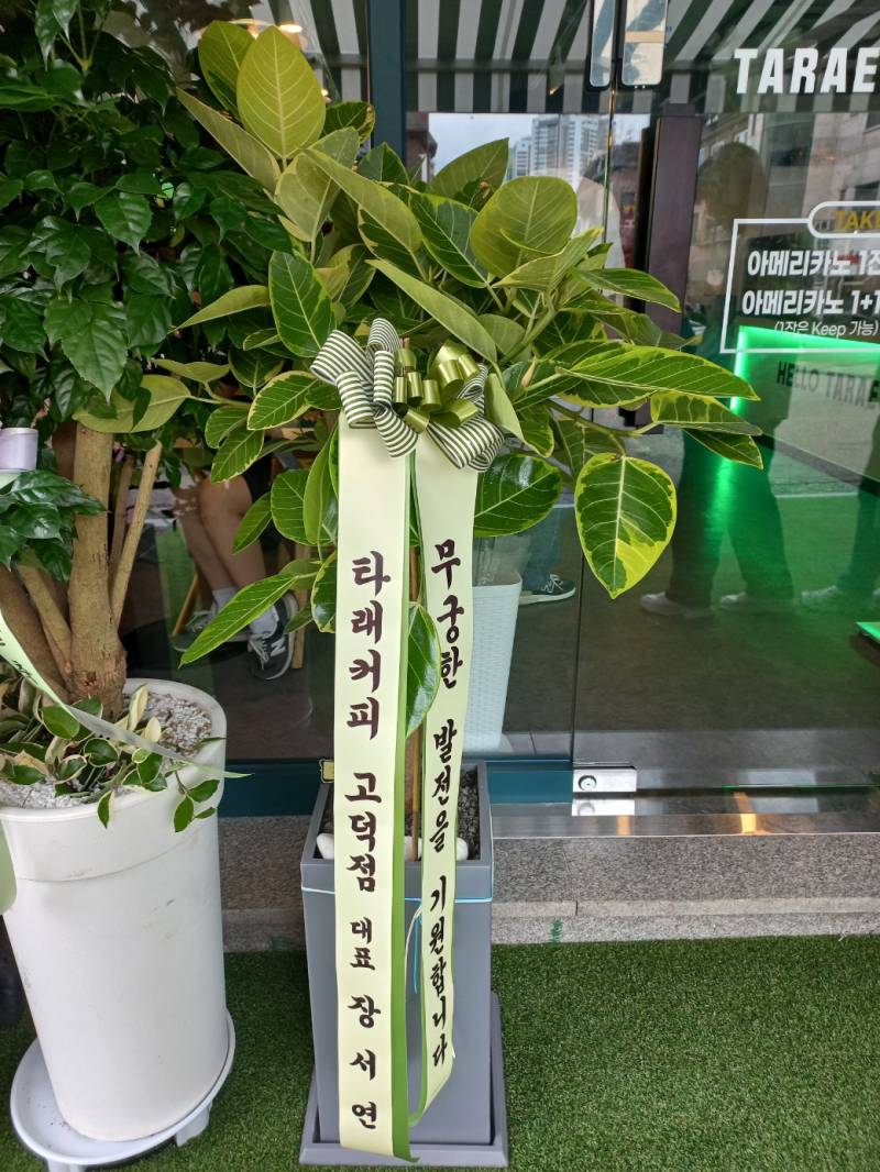 업로드 이미지