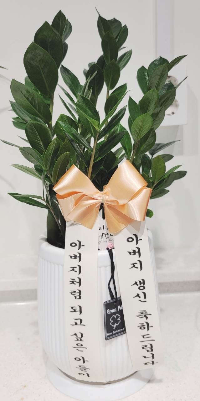 업로드 이미지