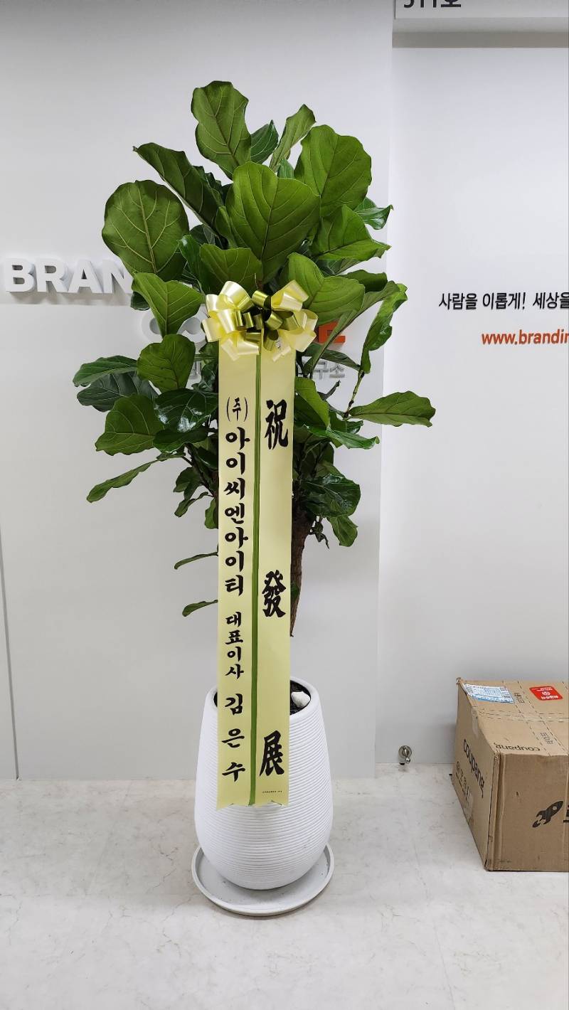업로드 이미지