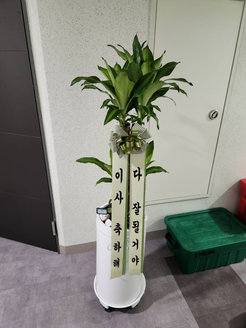 업로드 이미지