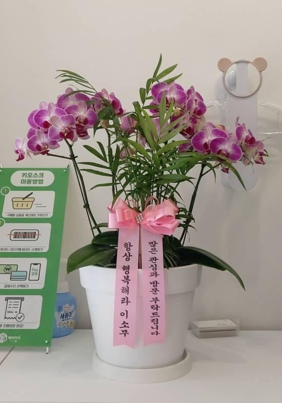 업로드 이미지