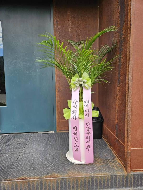 업로드 이미지
