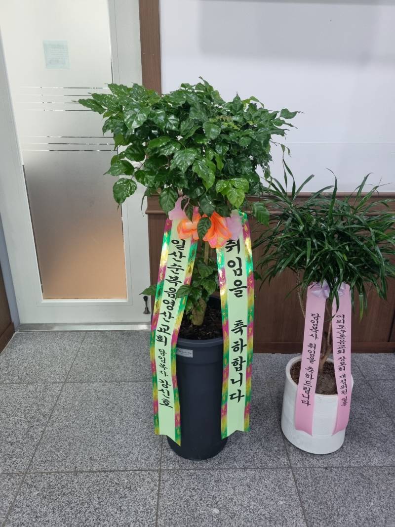 업로드 이미지