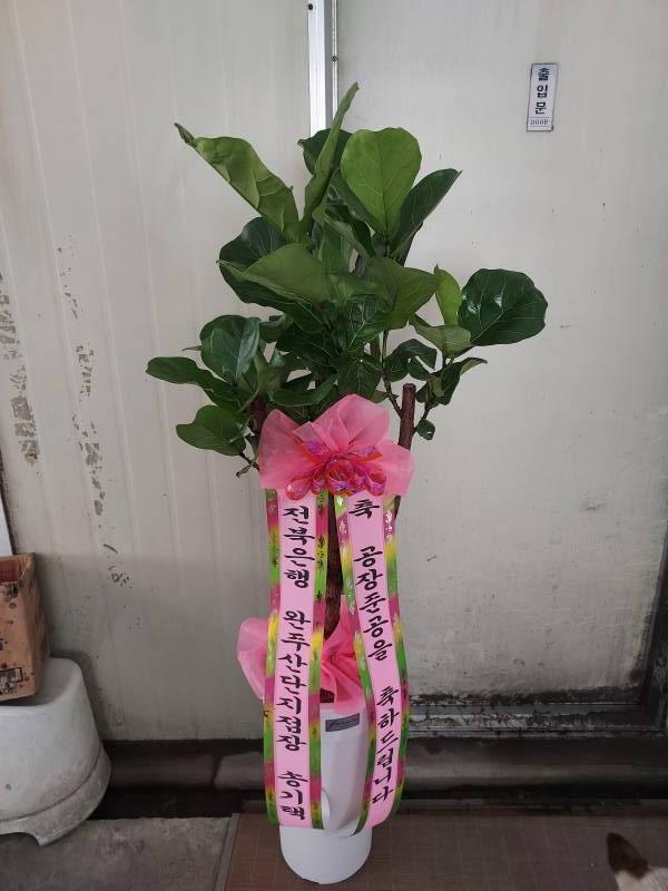 업로드 이미지