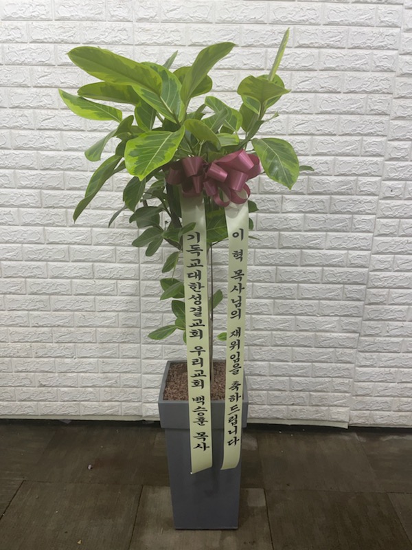 업로드 이미지