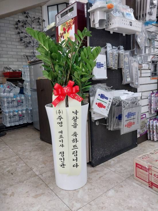 업로드 이미지