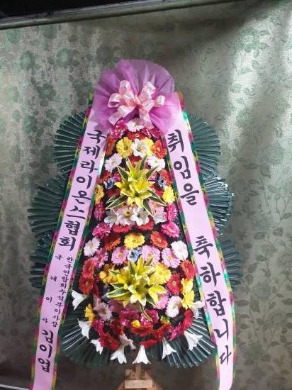 업로드 이미지