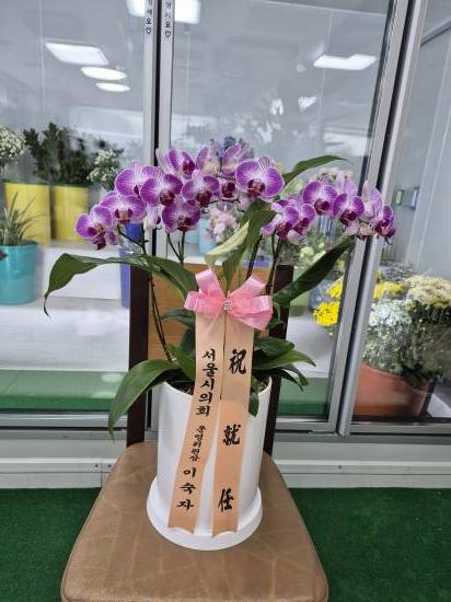 업로드 이미지