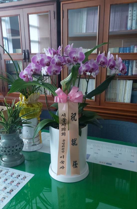 업로드 이미지