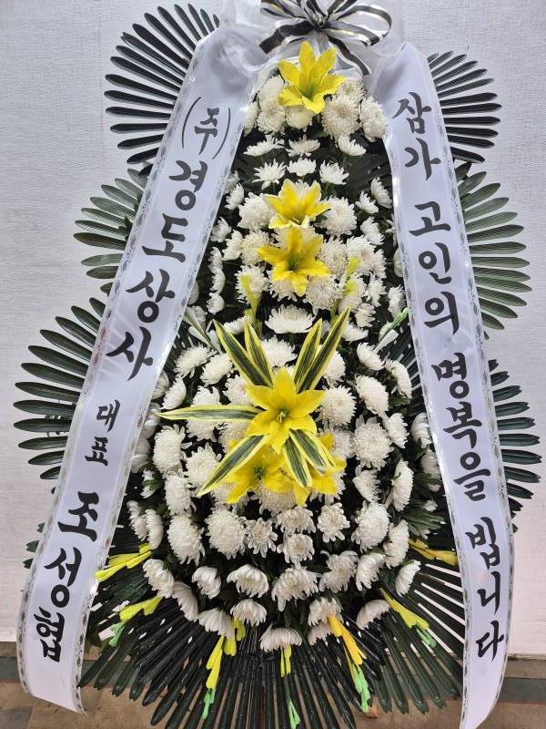 업로드 이미지