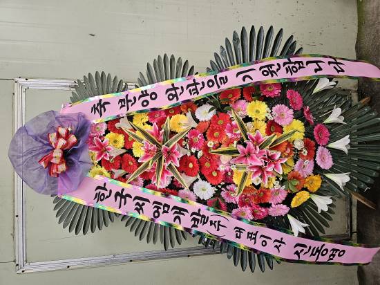 업로드 이미지