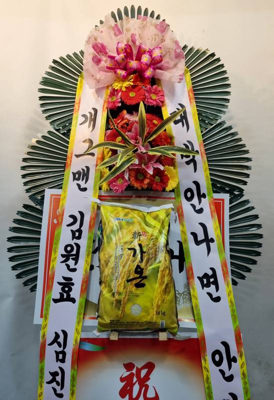 업로드 이미지