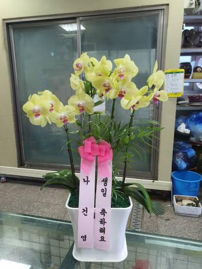 업로드 이미지