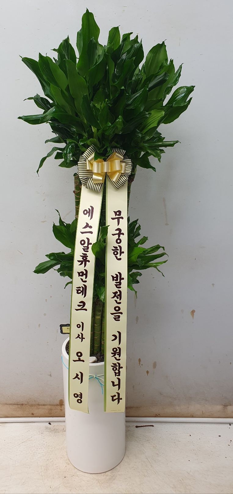 업로드 이미지