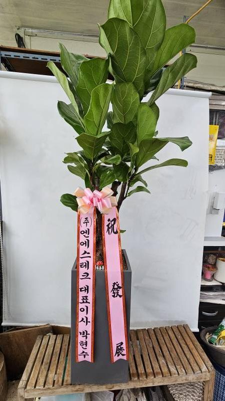 업로드 이미지