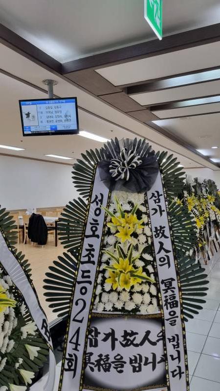 업로드 이미지