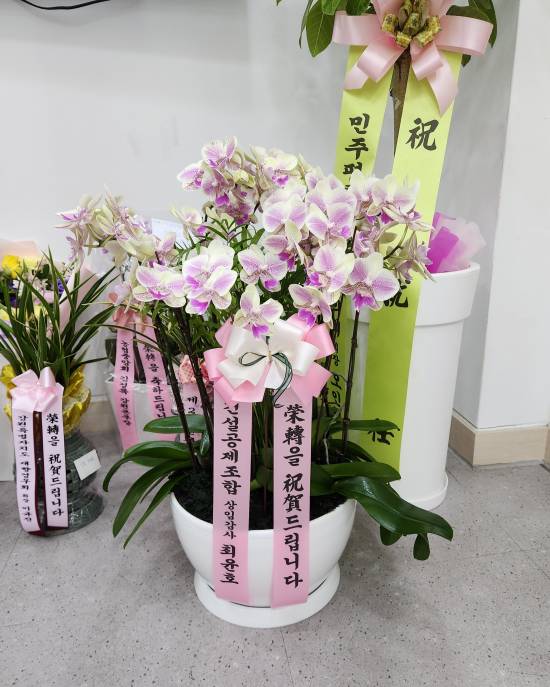 업로드 이미지
