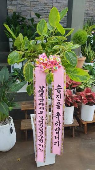 업로드 이미지