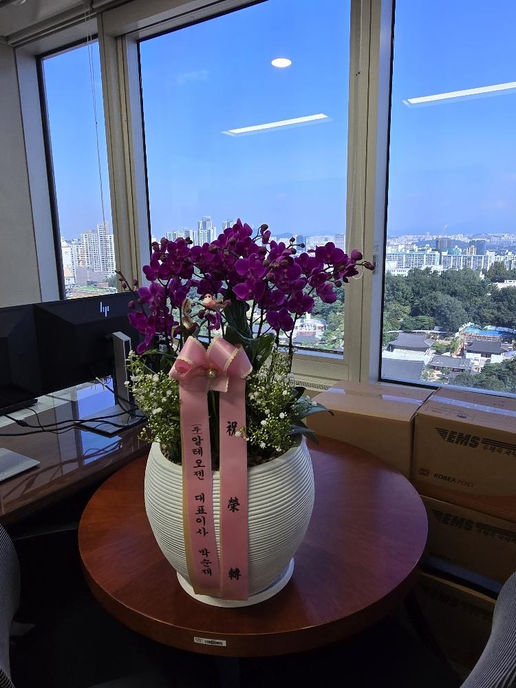 업로드 이미지