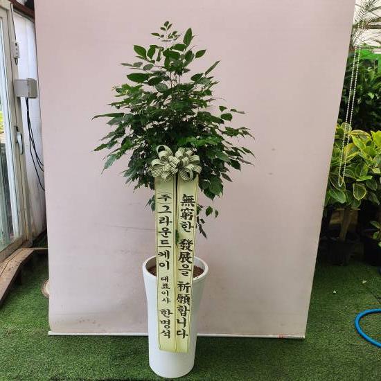 업로드 이미지