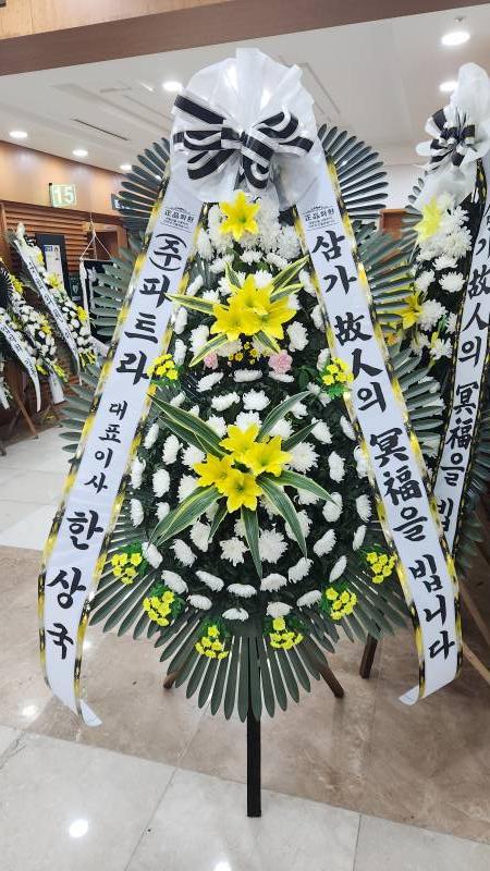 업로드 이미지