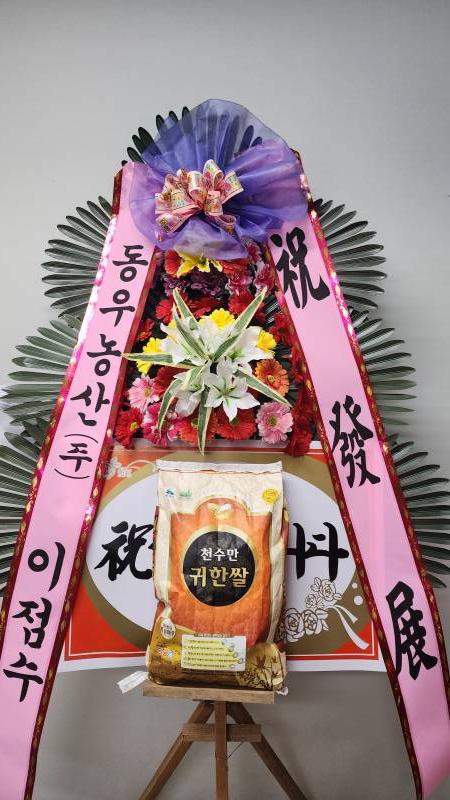 업로드 이미지