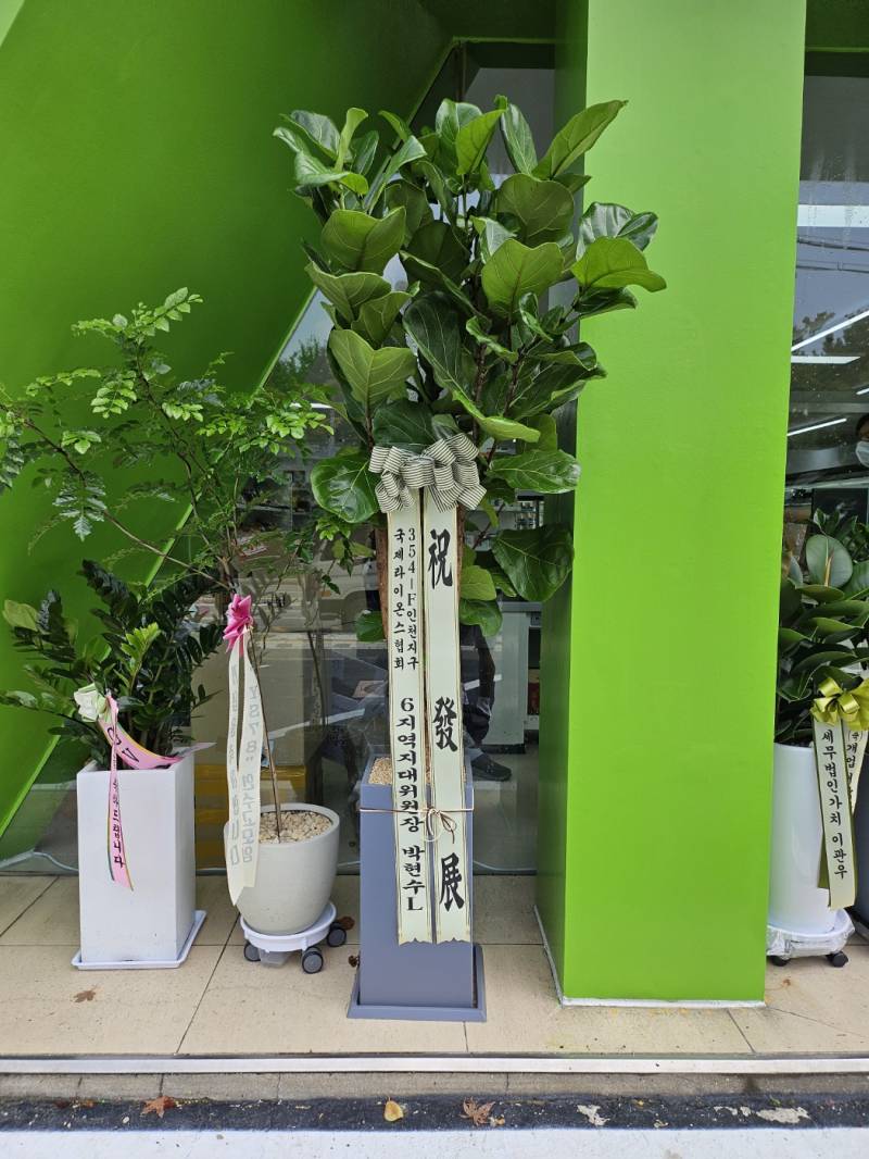 업로드 이미지