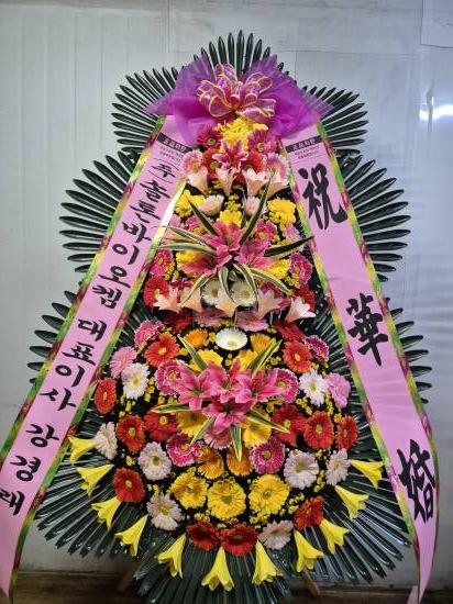 업로드 이미지