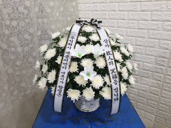 업로드 이미지