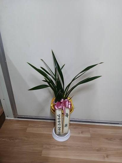 업로드 이미지