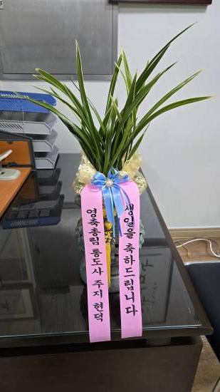 업로드 이미지
