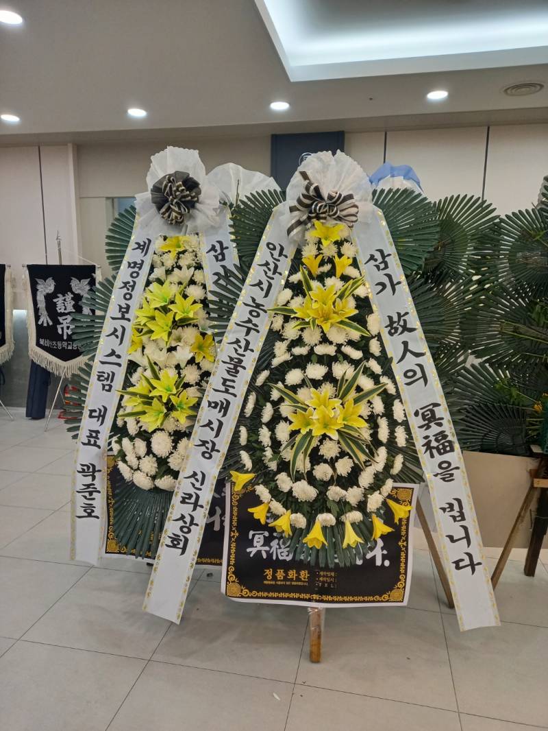 업로드 이미지