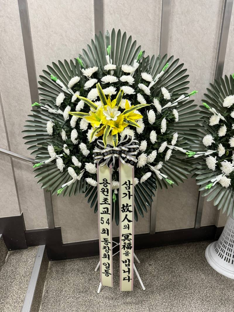 업로드 이미지
