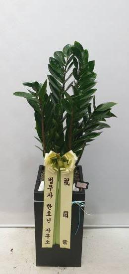 업로드 이미지