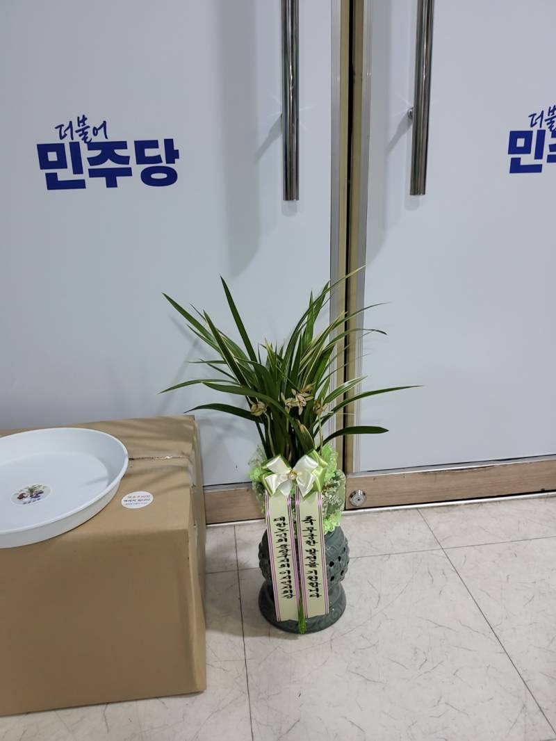 업로드 이미지