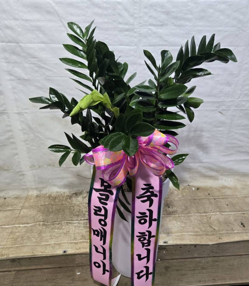 업로드 이미지