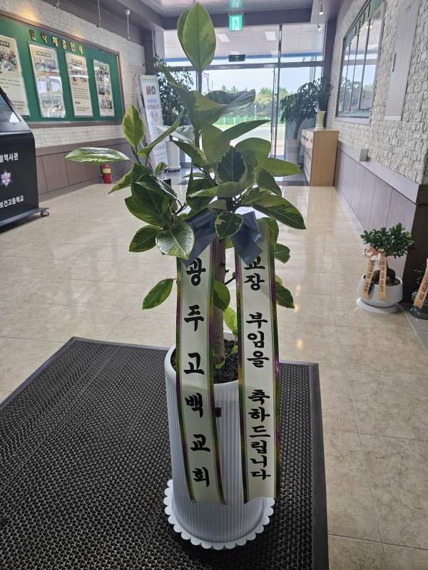 업로드 이미지