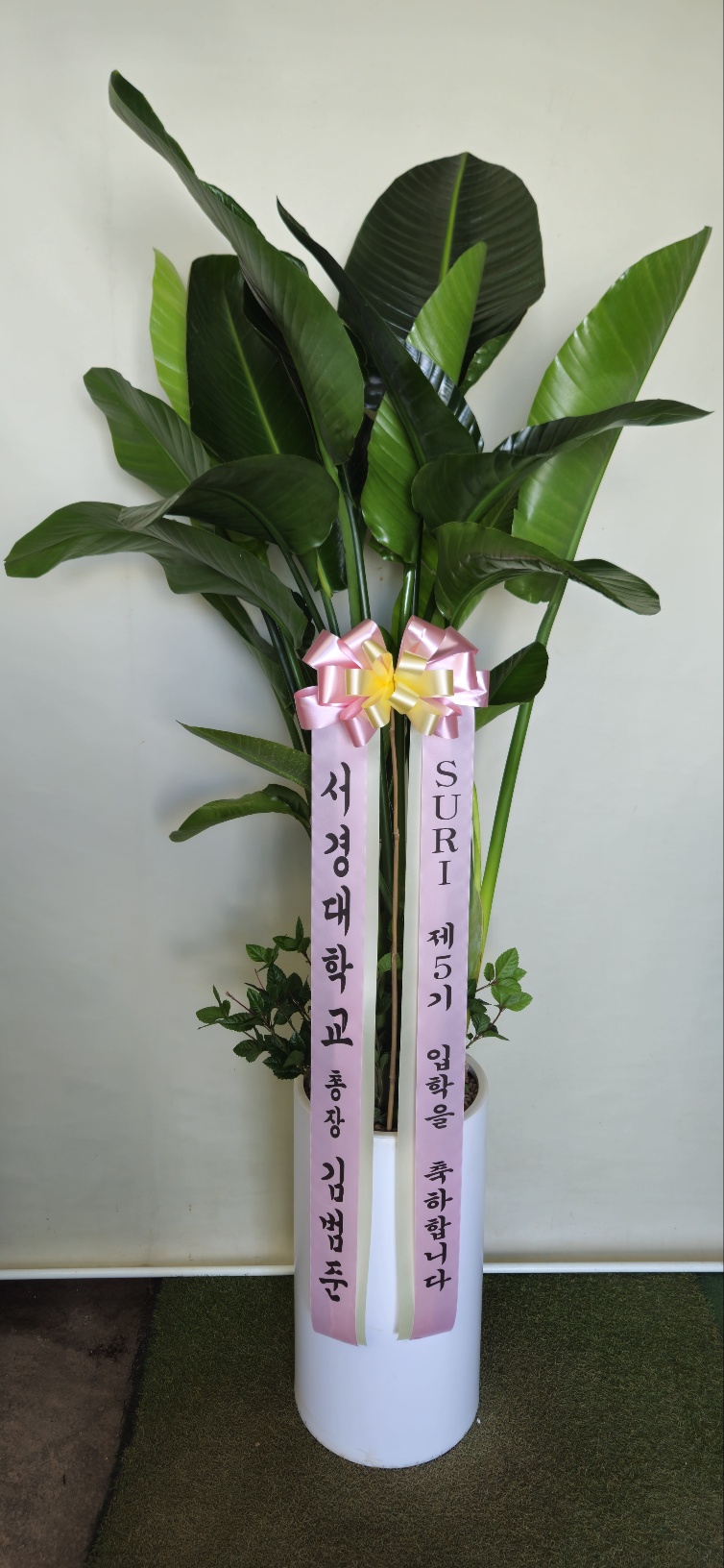 업로드 이미지