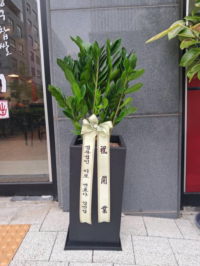 업로드 이미지