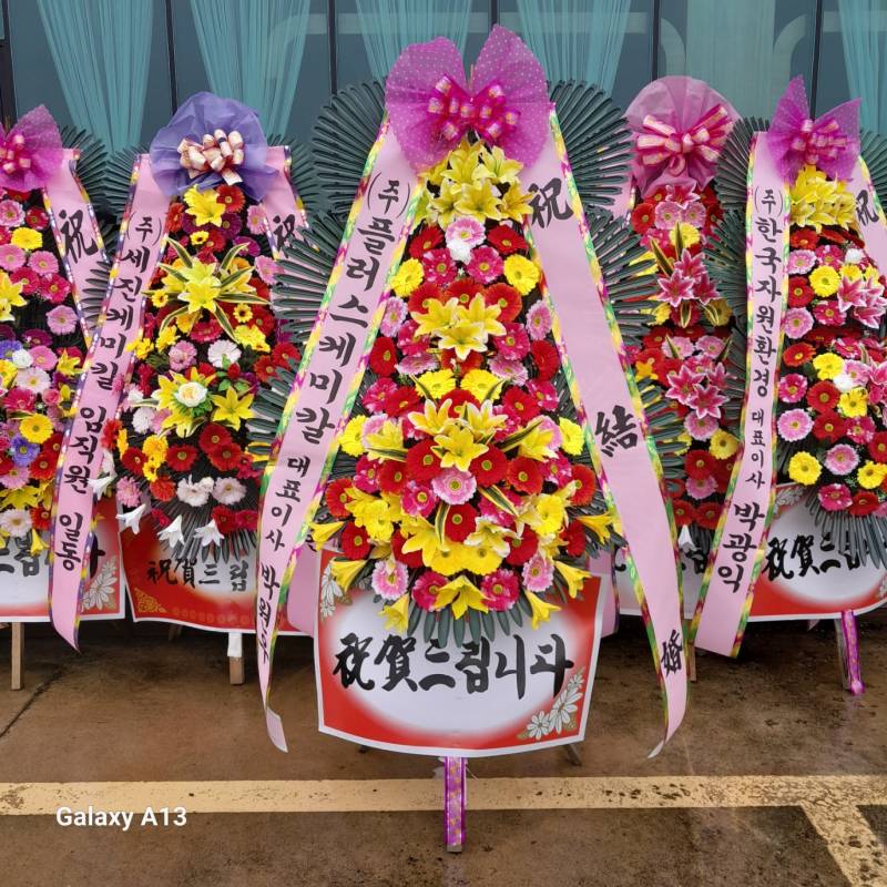 업로드 이미지