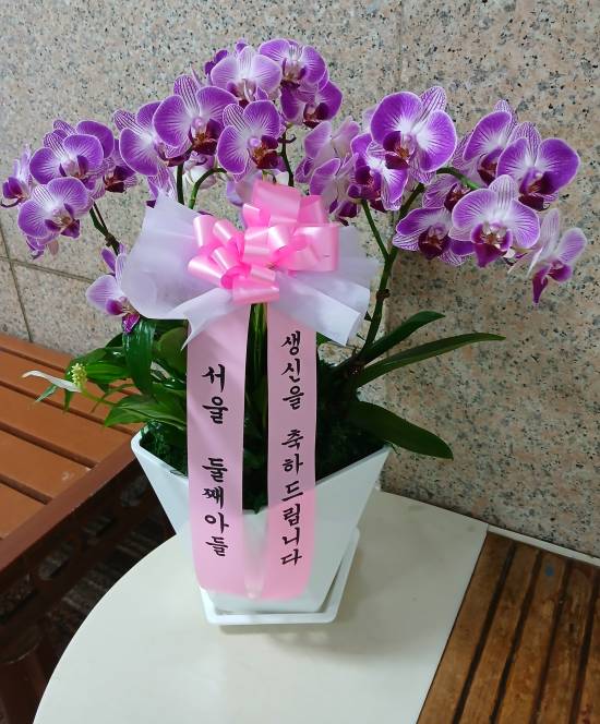 업로드 이미지