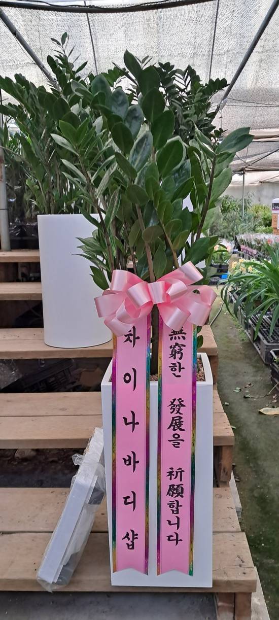 업로드 이미지
